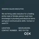 SALES EXECUTIVE ( sales person)