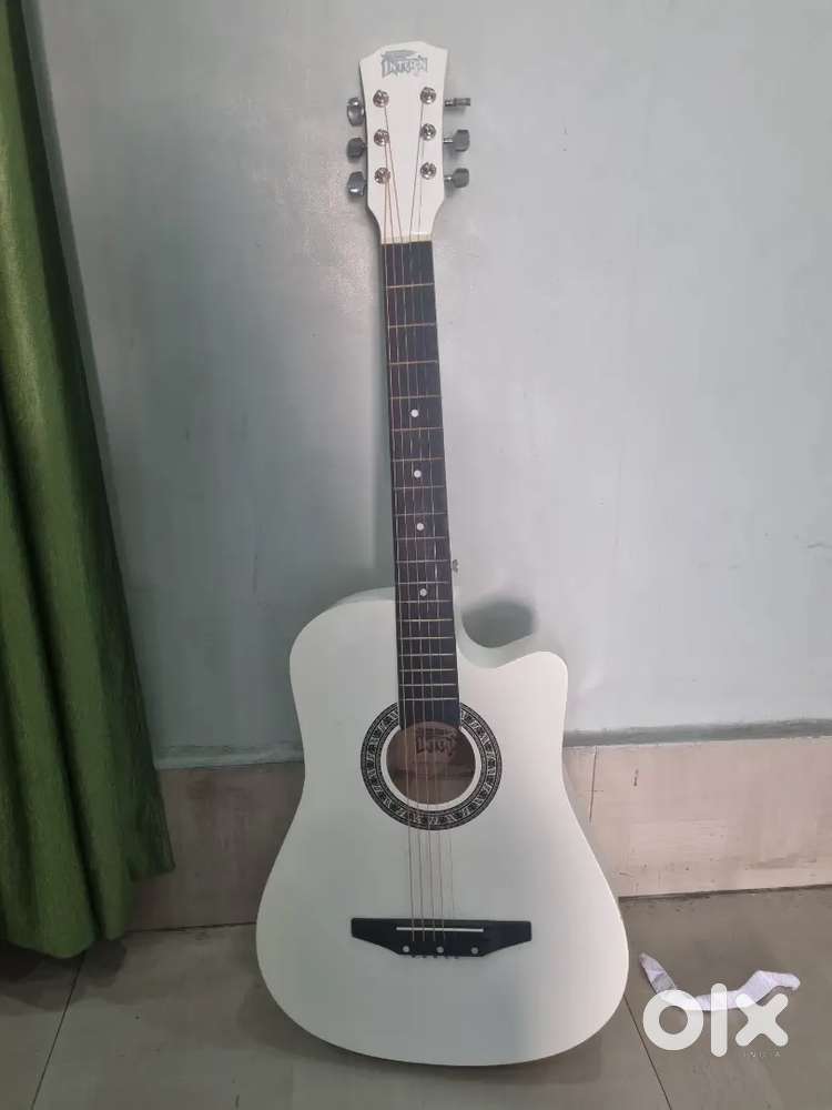 Brand New Guitar INTERN brand