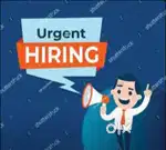 Real Estate consultant