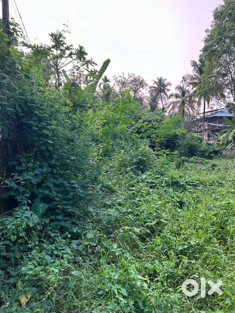 18 cent plot for sale