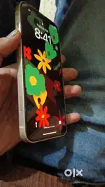 iPhone 13 meant condition