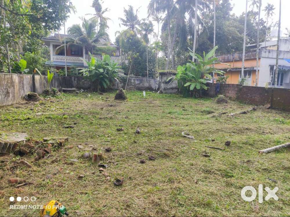 പള്ളിപ്പുറം- മാല്യങ്കര പാലത്തിനടുത്ത് 10 സെന്റ് വസ്തു വില്പനയ്ക്