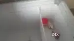 Freezer 500 litre
