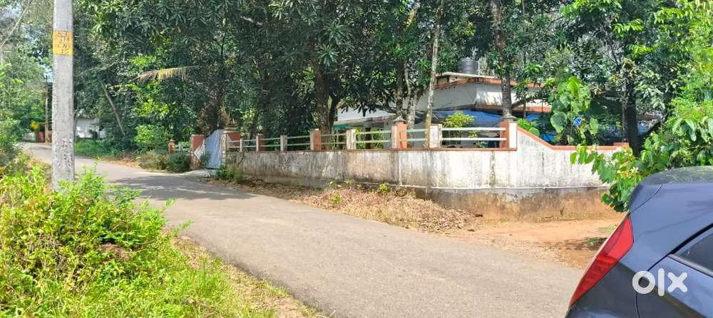 Kothamagalam - Venduvazhi, Peace valley hospital nearby 15 Cent