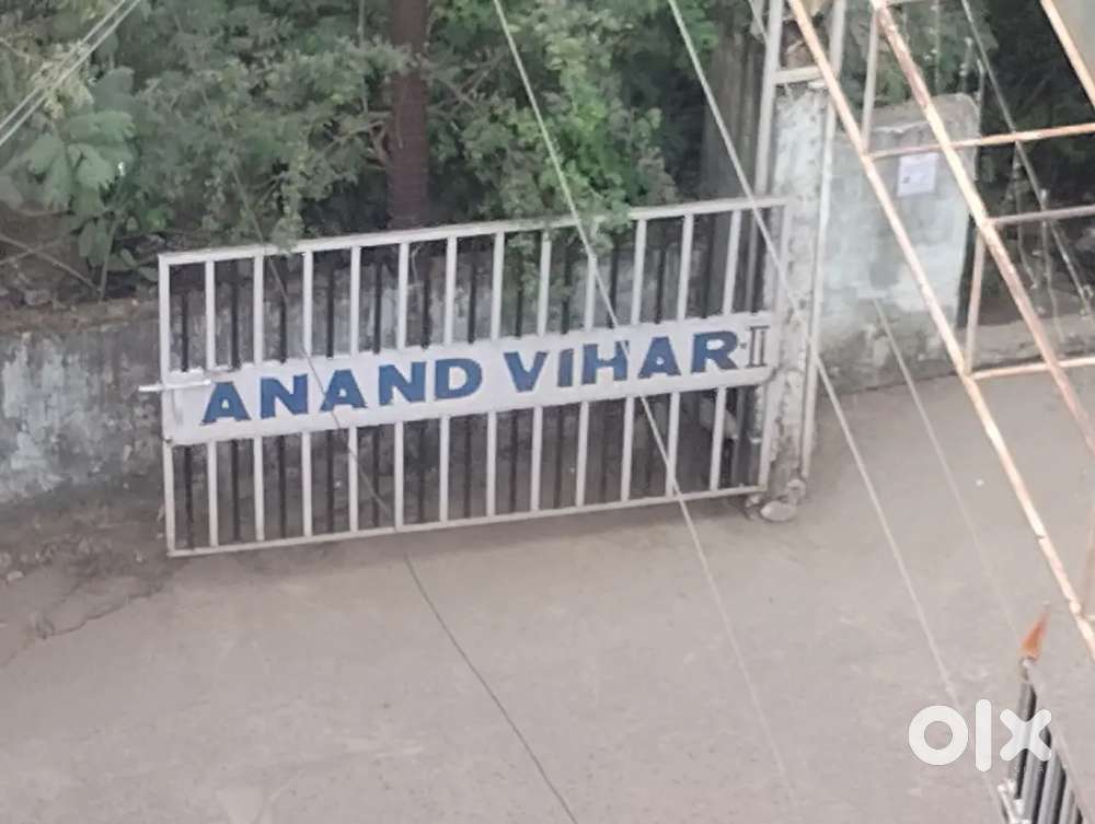 Bachelor independent falt with 0 rrestrictions