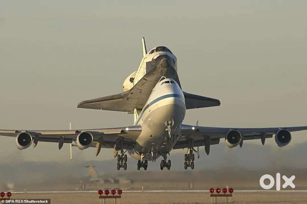 We are hiring freshers candidates apply fast