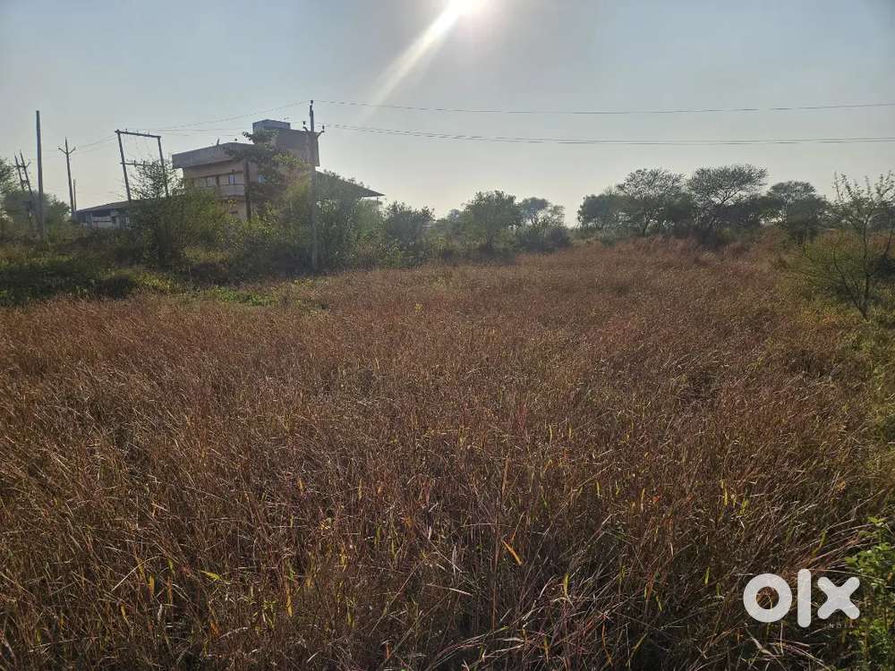 करेला गांव , नगपुरा से 9 किलोमीटर , दुर्ग से 20 किलोमीटर