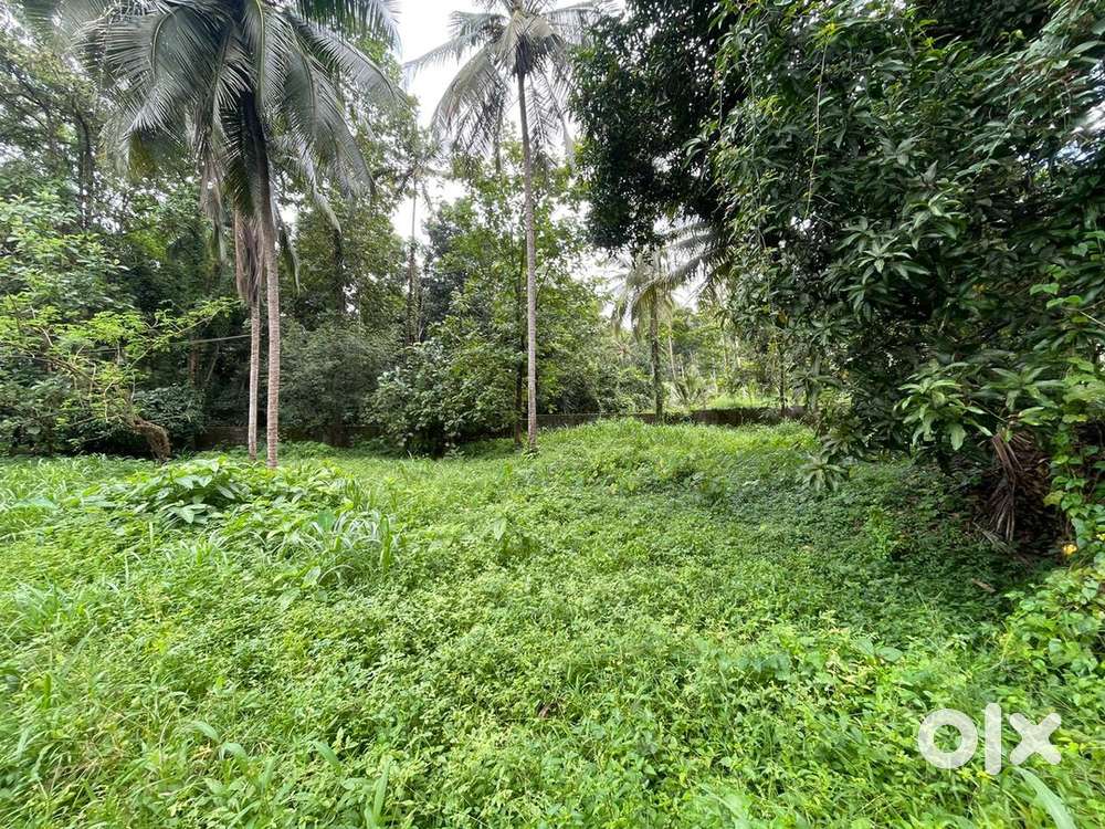 Plot for sale at Perinthalmanna - 16 cent