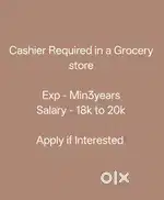 Cashier in a Grocery Store