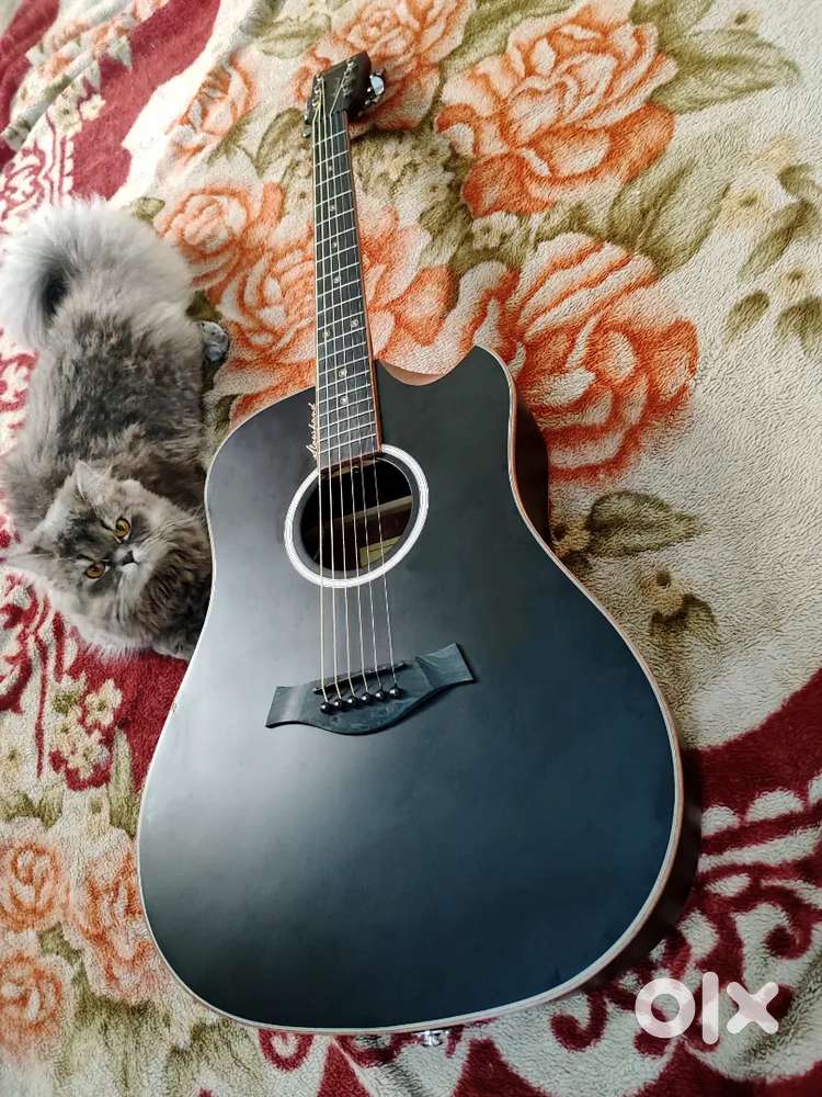 kadence premium guitar
