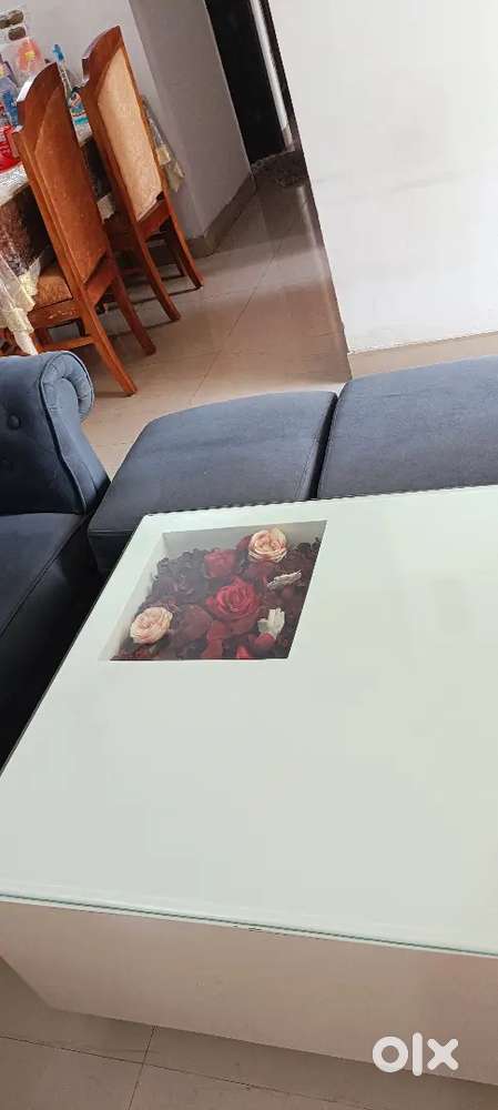 7 sester Sofa set with center table
