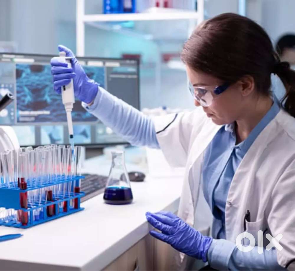 REQUIRED 30 MLT  ( LAB TECHNICIANS FOR HOSPITAL / LABORATORY  )