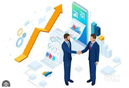 Sales Executive - Distributor firm