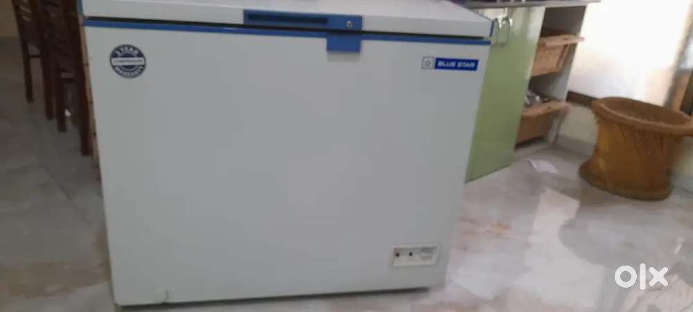 3 ft Blue Star fridger