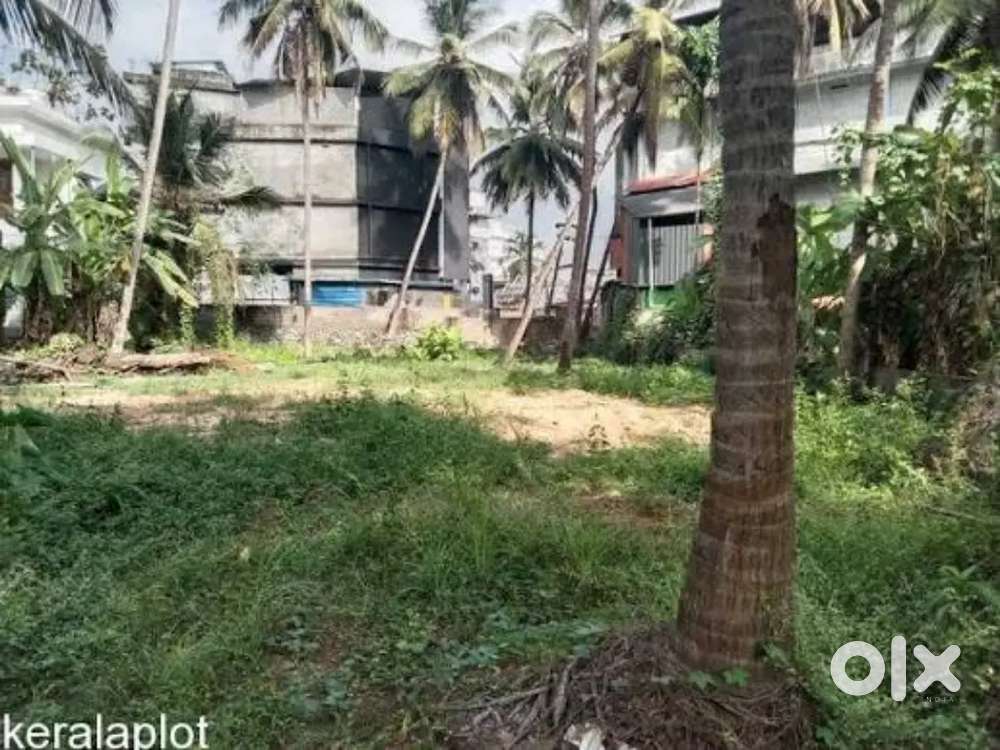 Plot available Edavanakkad