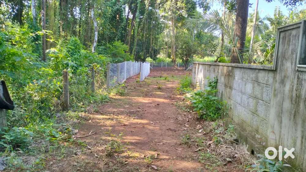 near govenment school, cherpulasery