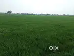 Land for sal