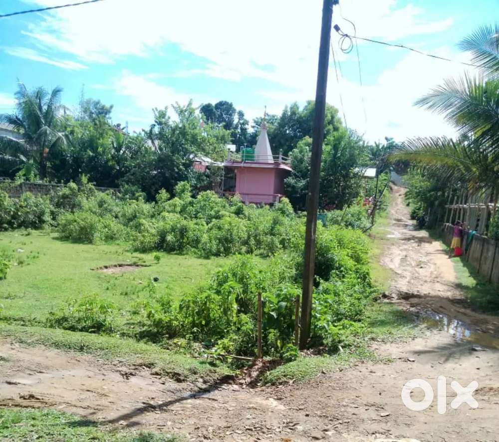 Urgent sale land 4.5 kata per kata 5laks Silchar Kathal road