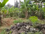7 cent house plot for SALE ***vazhakkala