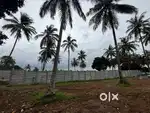Back water view land
