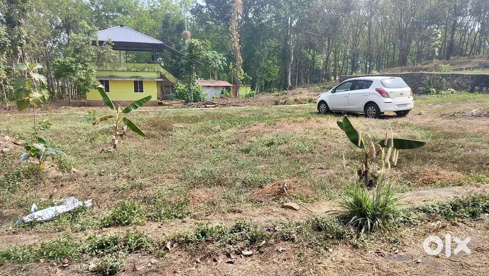 8 Cent Residential land for sale in Thiruvaniyoor