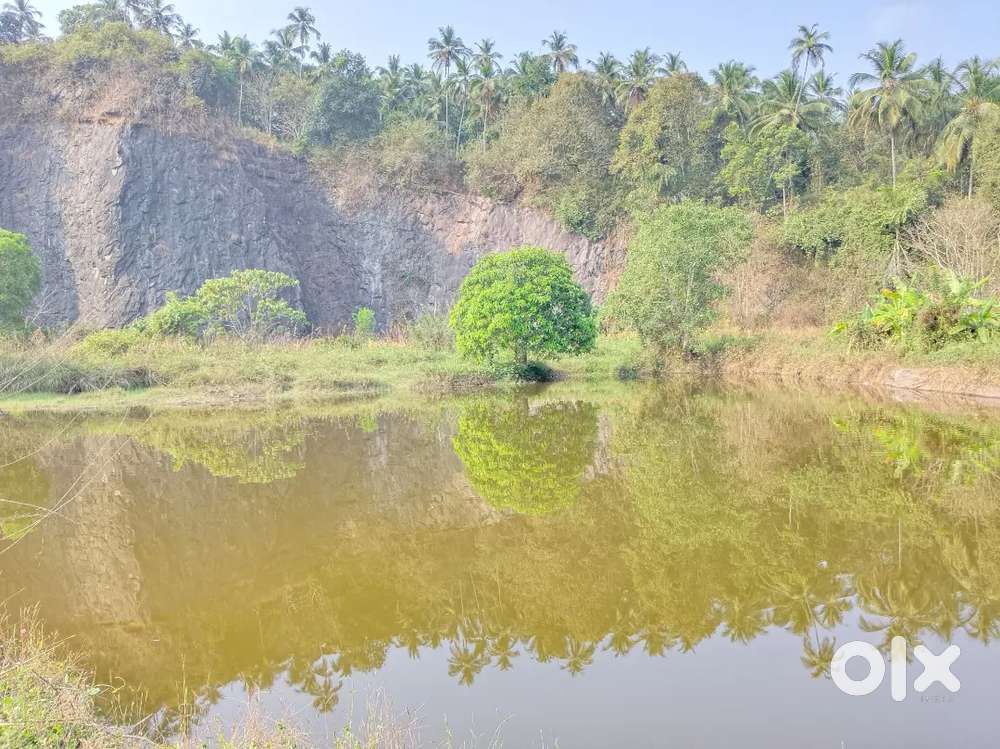 Beautiful plot for sale