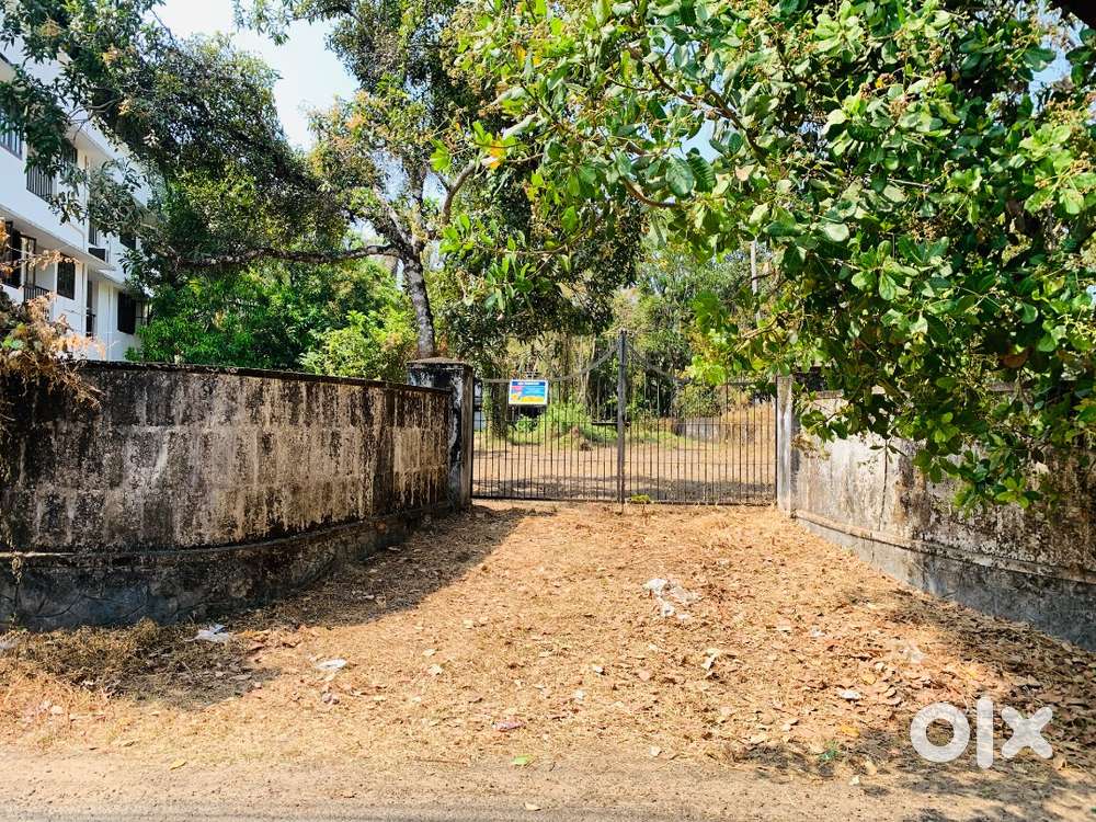 Land in Chavakkad 35 cents
