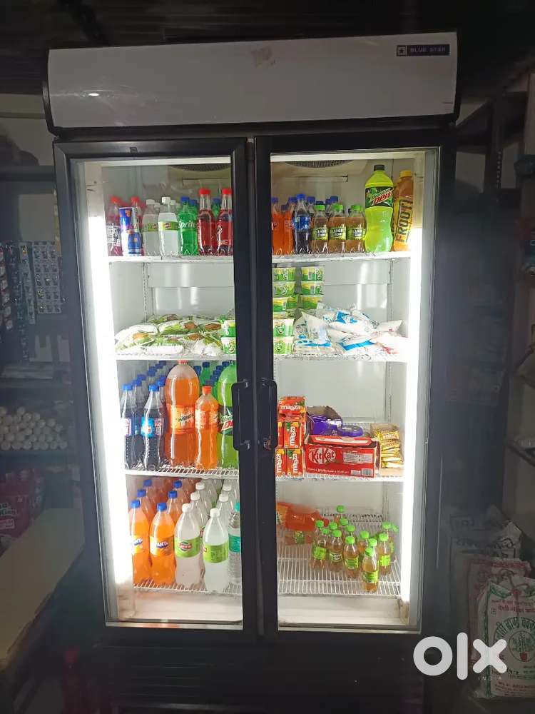 Double door visi freeze