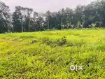 80 cent square plot for sale