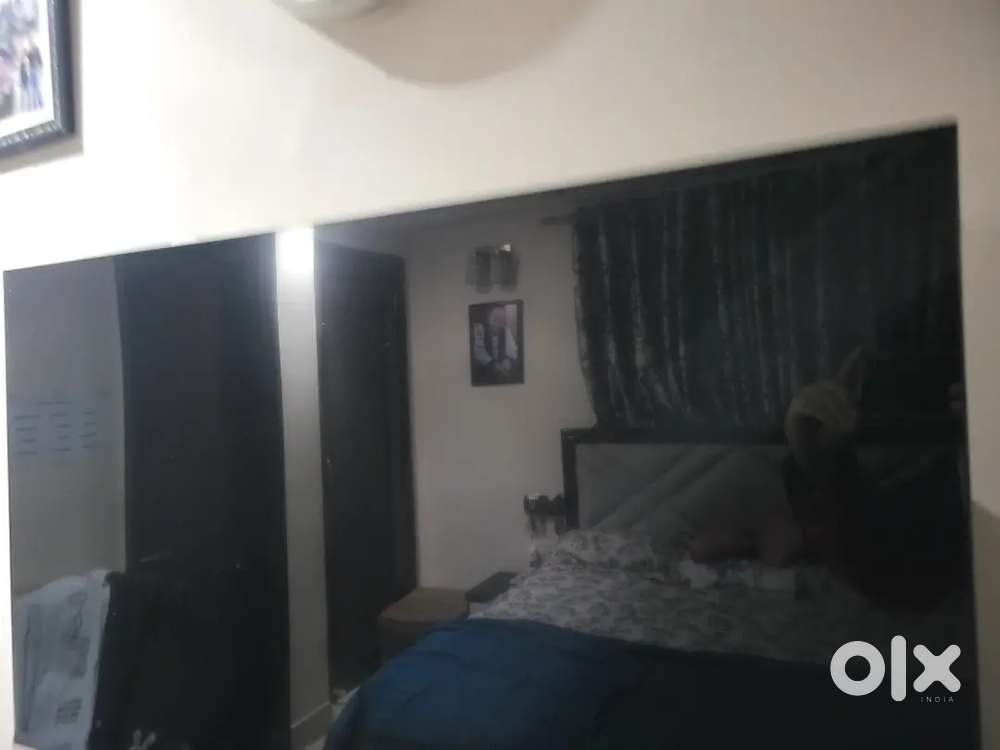 Marq tv 43 inch bought in 2024 for Rs5000/- No bargain