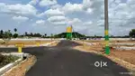 Dtcp Lands Sale Near Konganapuram