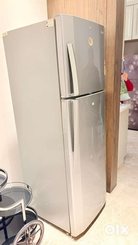 LG 320 Ltrs Double Door Clean Fridge