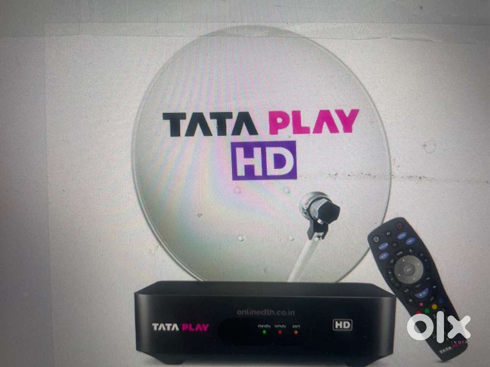 Collection Executive