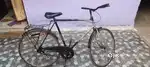 Mackone cycle