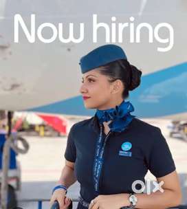 We are hiring freshers candidates apply fast