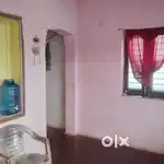 Arjent hai