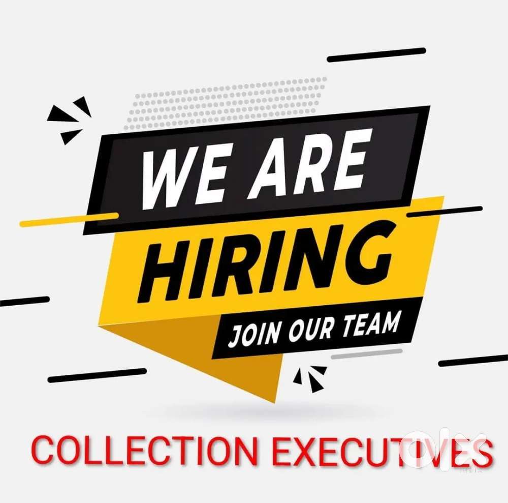 COLLECTION EXECUTIVE