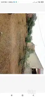 Urgent selling of 1200 sqft plot in 13 lakhs