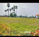 Land in madhav nagar budhiyawan