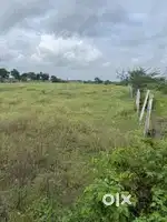 An agriculture land for sale in Mohammad Nagar , bahraich