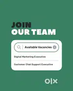 Digital Marketing Executive  Chat Support Executive