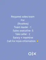 Sales executives & telecaller