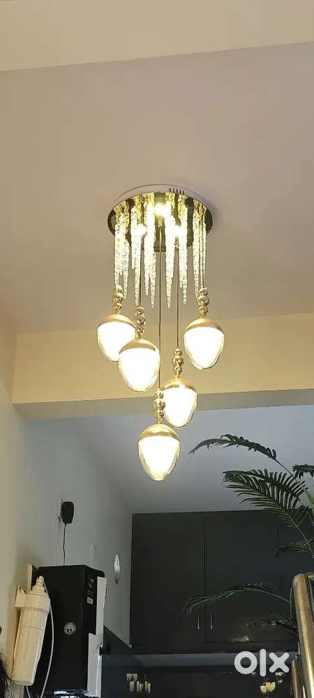 Light led home decorated