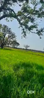 Agriculture land for sale near by durg, rajnandgaon