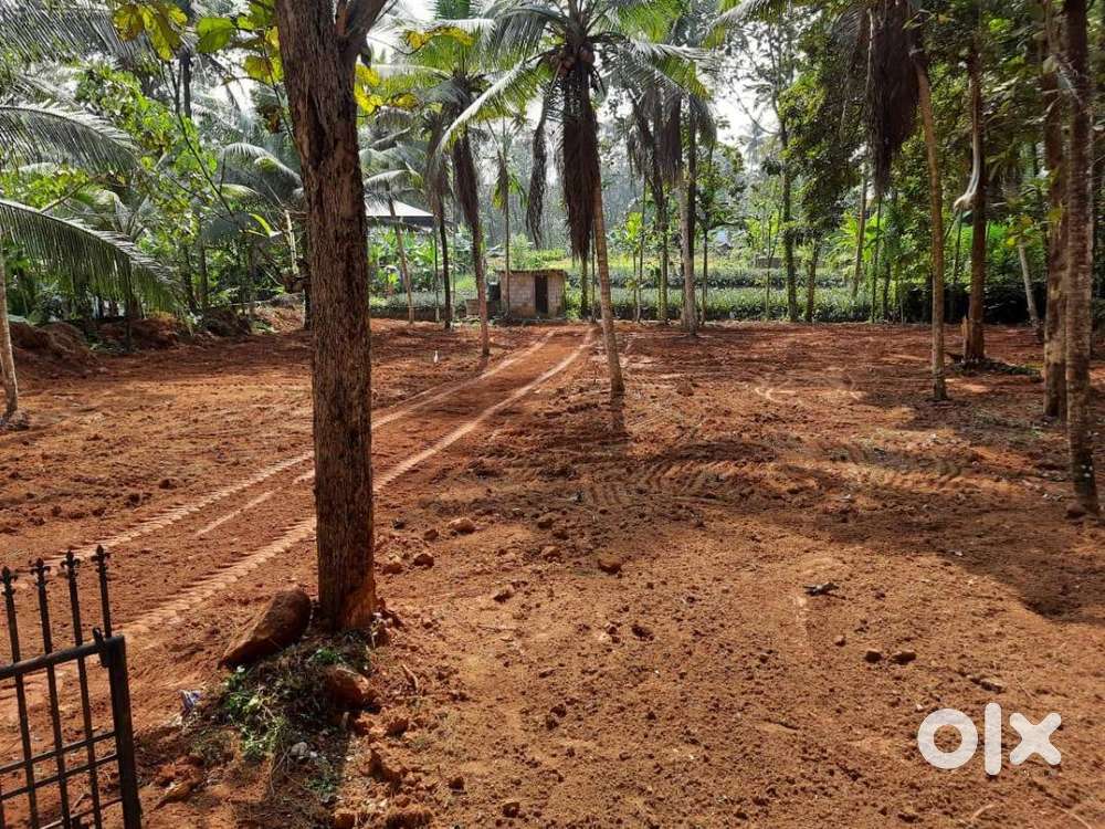 40 cents land along Thdu - Muvattupuzha hwy