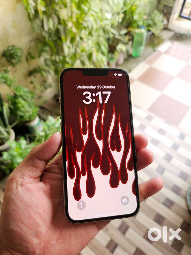 Iphone 13 pro(Good Condition)