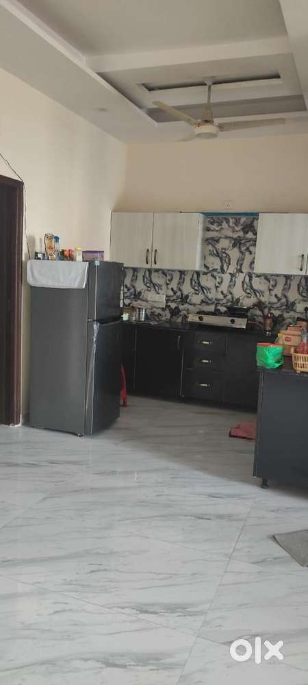 Need a female roommate