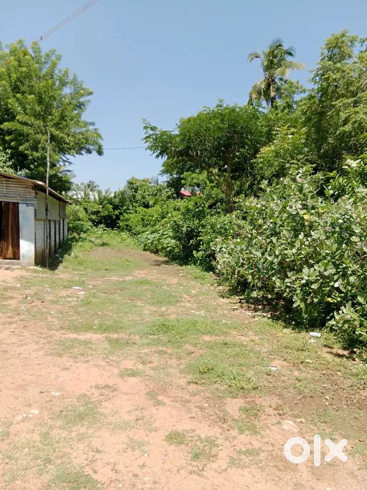 Kollumangudi,Jinnah Street, (Thiruvarur District) House
Land For Sale.