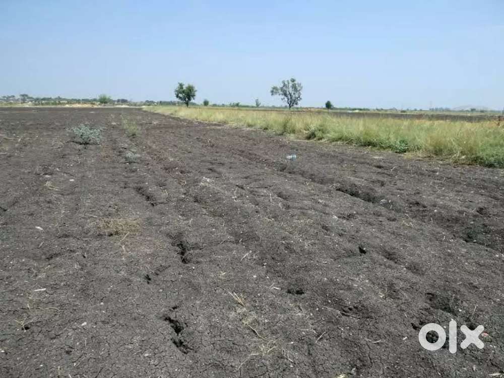 1.5 Acre agriculture Land near CLR degree college