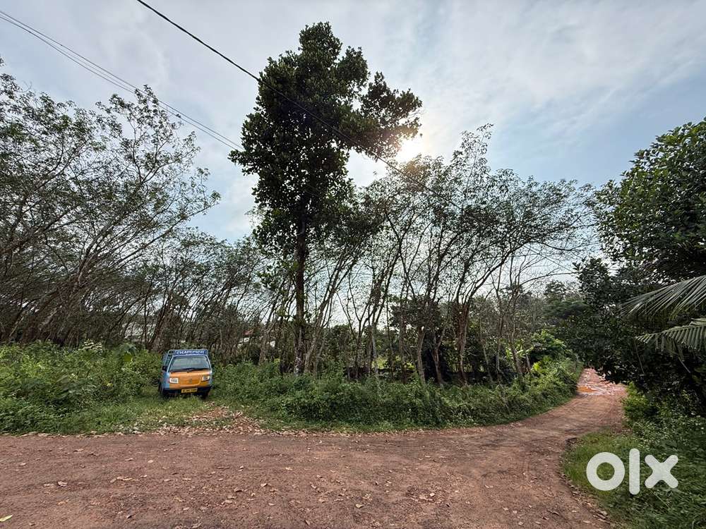 90+ cent land for sale